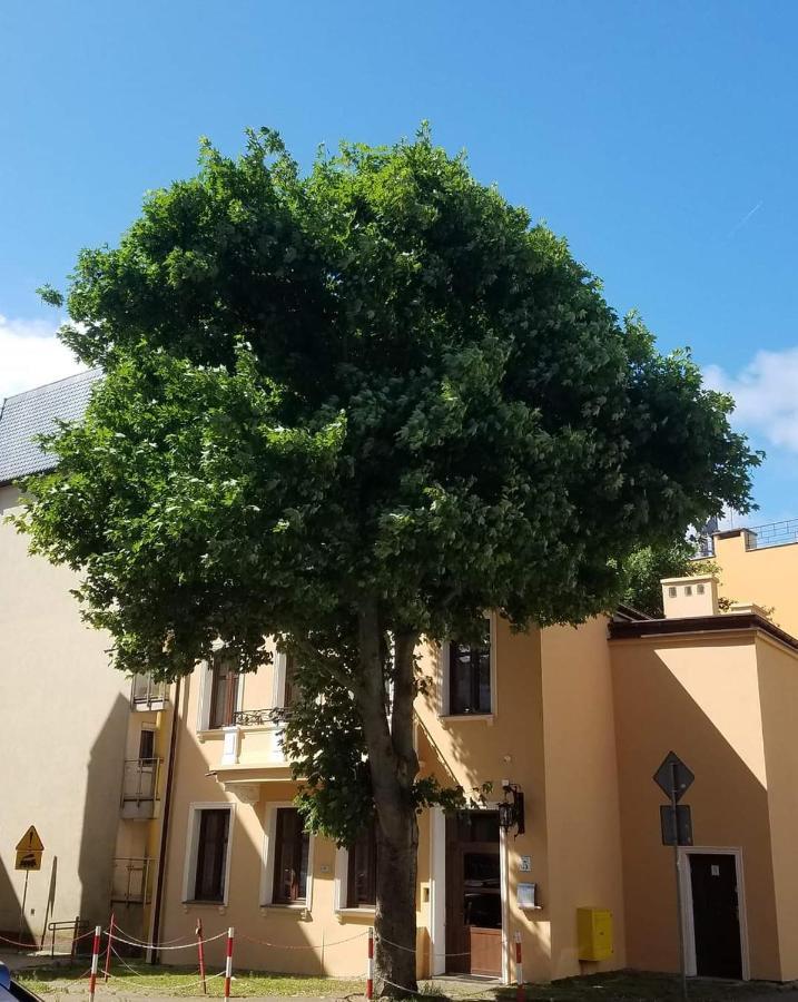 Apartamenty Na Cichej 5 A2 Kolobřeh Exteriér fotografie